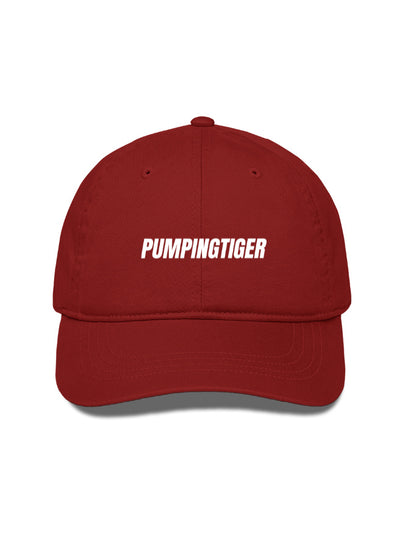 Front_1_c_10.jpg