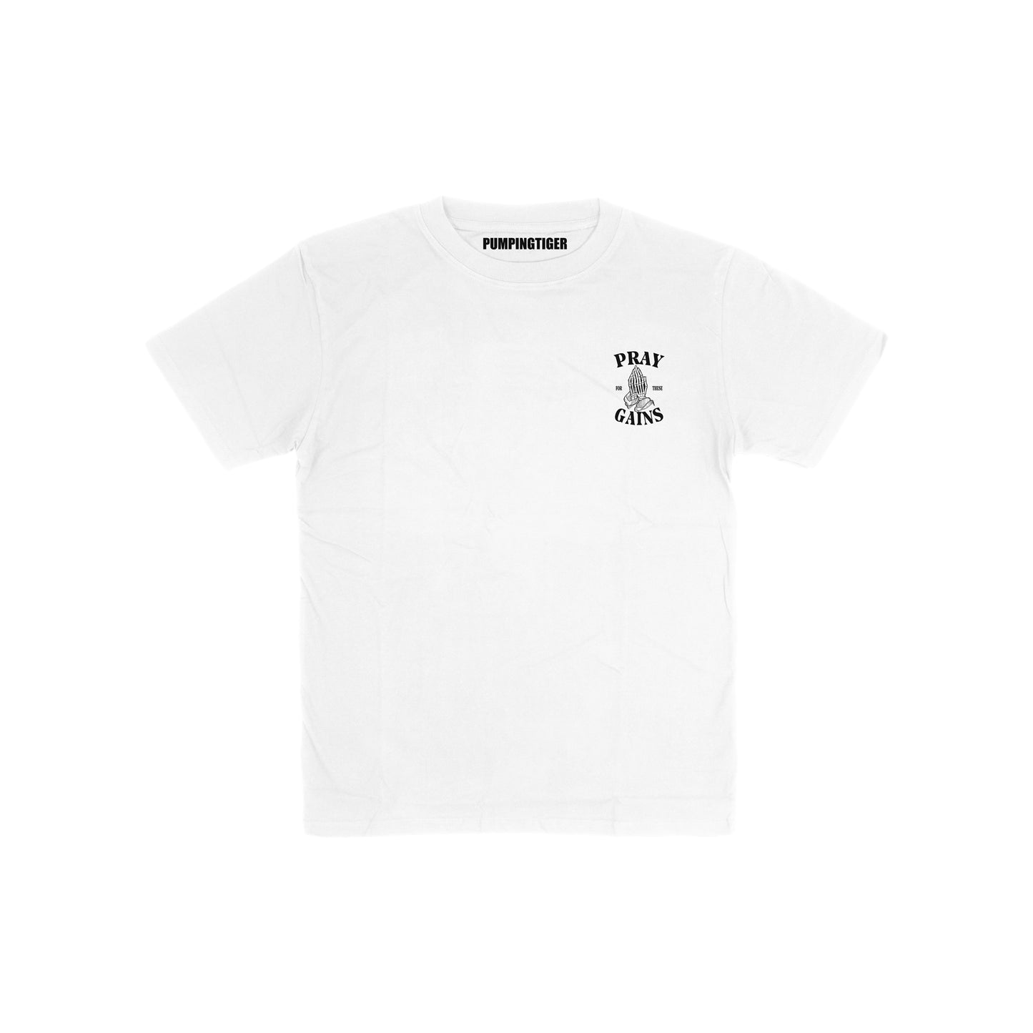 Pray For These Gains Regular Fit T-shirt