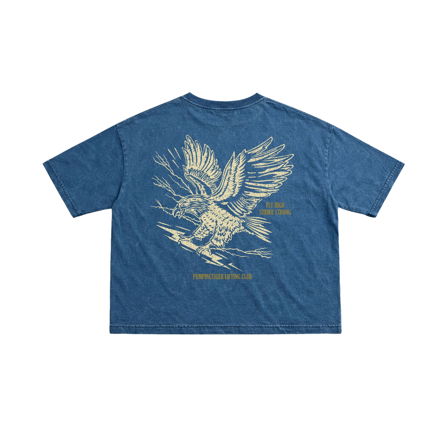 Eagle Graphic Denim Wash Boxy Fit T-Shirt
