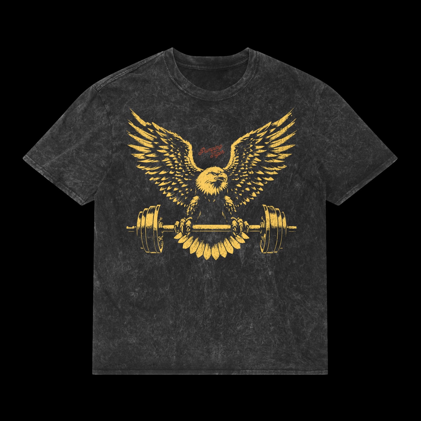 Eagle Graphic Acid Wash Oversized T-Shirt